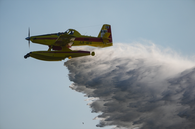 İzmir'de orman 2 gündür yanıyor