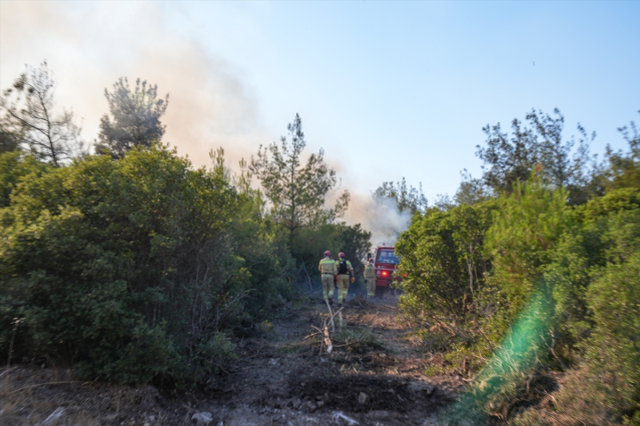 İzmir'de orman yangını 2'nci günde kontrol altına alındı