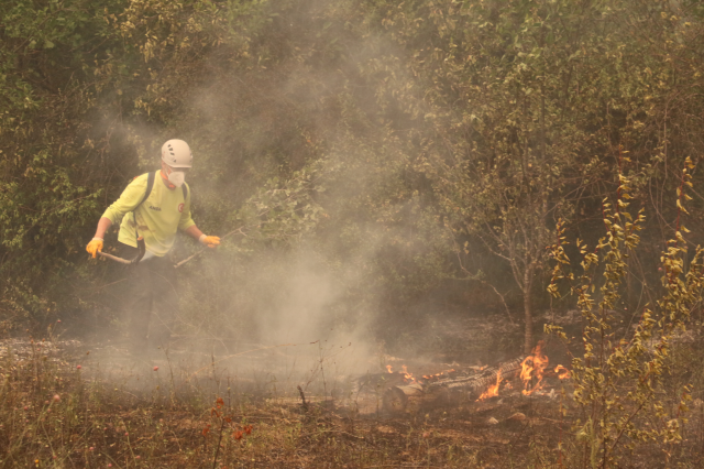 Sakarya'da alevlere karşı zamanla yarış! Ekiplerin işini eğimli tarım arazisi zorlaştırıyor