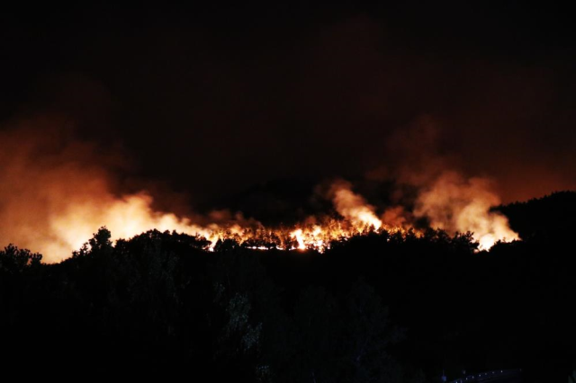 Sakarya'daki orman yangını Bilecik'e sıçradı! Köyler boşaltıldı, asker sahaya indi