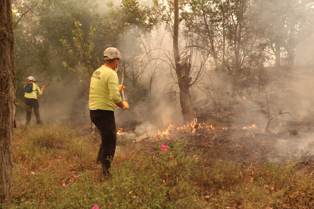 Türkiye'nin ciğerleri yanıyor: Köprücek köyü tamamen küle döndü