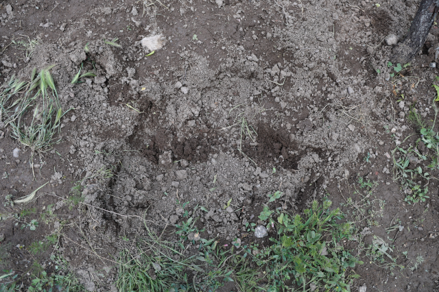 Anneler Günü'nde cansız bedeni bulunan Dilara'nın katili her şeyi itiraf etti