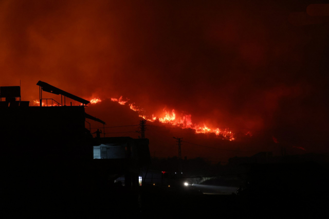 Yangının ortasında kuş yuvasını kurtardılar