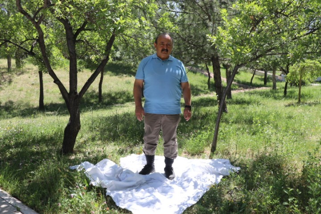 Keneleri Tespit Etmek İçin Pratik Yöntemler