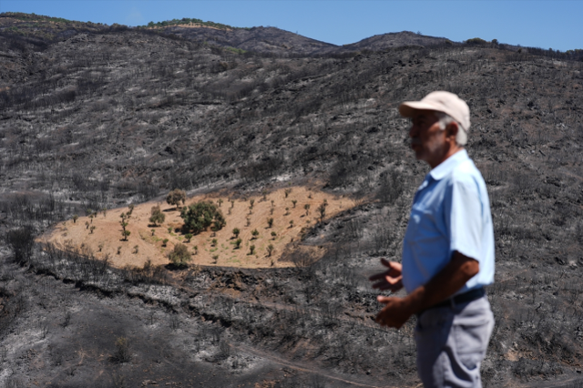 Ödemiş'te şaşırtan görüntü! Bir tek Ahmet Türk'ün arsası yanmadı