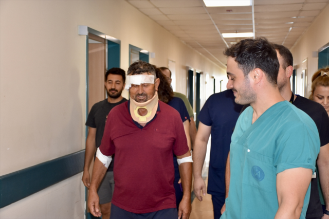 Kendisine saldıran aslana hakkını helal etti: Bir suçu yok