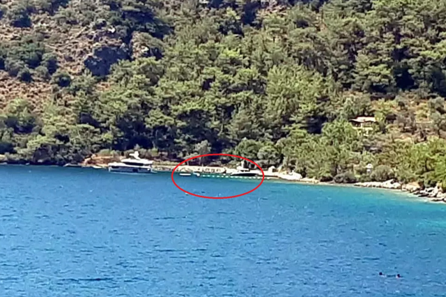 Çevre ve Yasal Süreçler