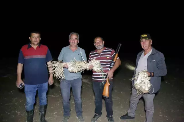 'Beyaz altın' nöbeti! Sabaha kadar silahla bekliyorlar