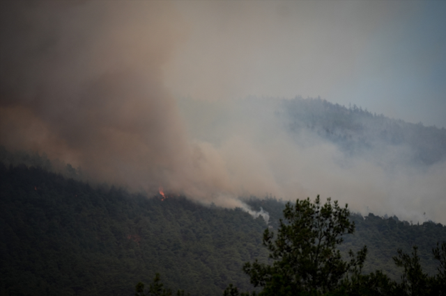 Sakarya'da dün başlayan orman yangını Bilecik'e sıçradı