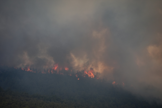 Sakarya'da dün başlayan orman yangını Bilecik'e sıçradı