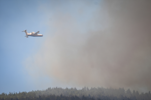 Sakarya'da dün başlayan orman yangını Bilecik'e sıçradı