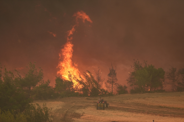 Sakarya ve Bilecik'te orman yangını: 4 tahliye edildi
