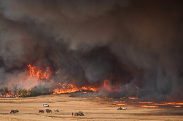 Sakarya ve Bilecik'te orman yangını: 4 tahliye edildi