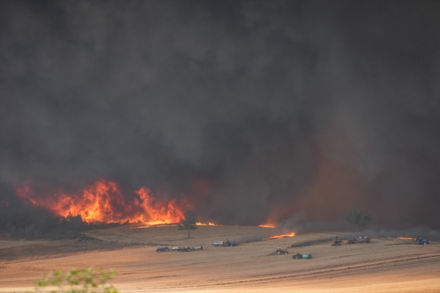 Sakarya ve Bilecik'te orman yangını: 4 tahliye edildi