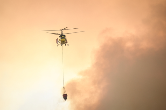 Sakarya ve Bilecik'te orman yangını: 4 tahliye edildi