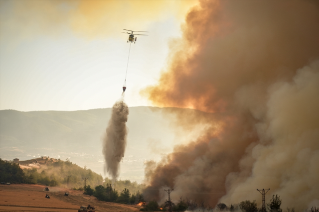 Sakarya ve Bilecik'te orman yangını: 4 tahliye edildi