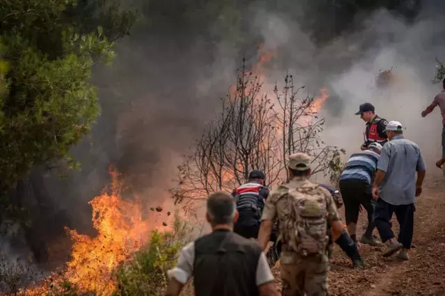 Sakarya ve Bilecik'te ciğerlerimiz yanıyor! Alevler bazı bölgelerde yeniden canlandı
