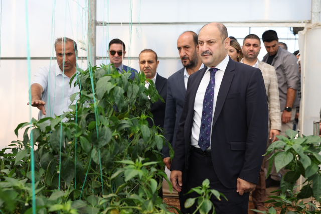 Şanlıurfa Büyükşehir Belediyesi, Ata Tohumlarına Sahip Çıkıyor