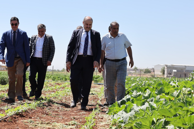 Şanlıurfa Büyükşehir Belediyesi, Ata Tohumlarına Sahip Çıkıyor