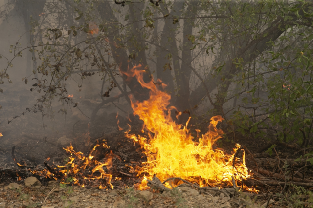 Karabük'te çıkan yangınlar 2. günde sürüyor: 14 köy tahliye edildi, 5 personel dumandan etkilendi
