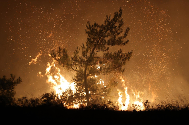 Bursa'da felaket gecesi! Yangın yerleşim yerlerine ulaştı