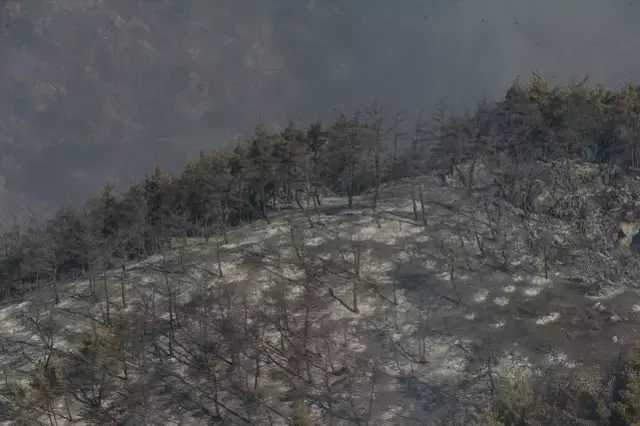 Orman yangınlarında son Bursa'da bir ilçede alevler yeniden şiddetlendi