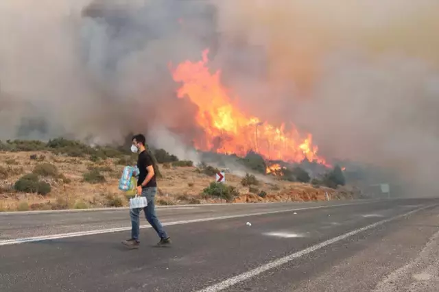 Bir orman yangını da İzmir'de! Bornova'da başlayıp Buca'ya sıçradı