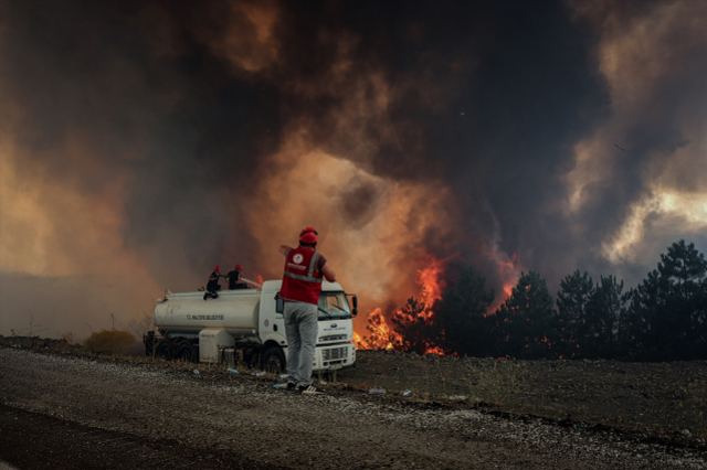İzmir ve Bursa'da ciğerlerimiz alev alev yanıyor