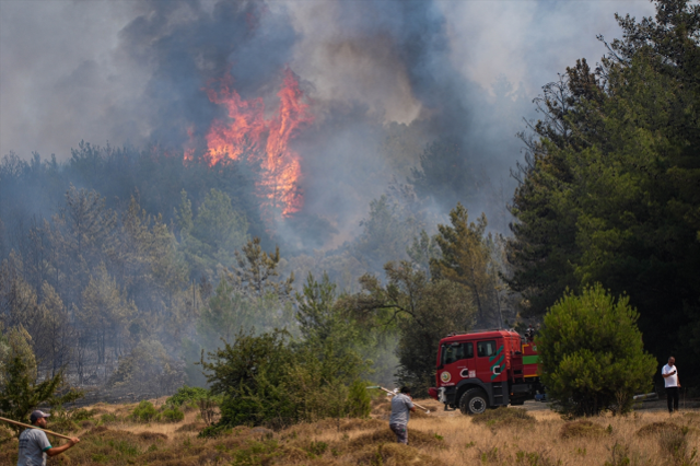 İzmir ve Bursa'da ciğerlerimiz alev alev yanıyor
