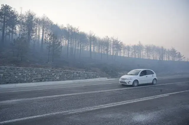 Orman yangınlarında son durum: 3 ilde 4 yangın sürüyor