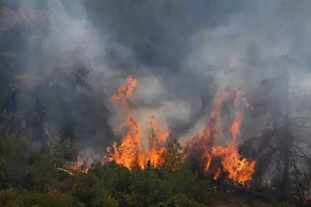 Uşak, Kahramanmaraş ve İzmir Bornova'da yangınlar söndürüldü