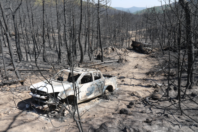 10 orman işçisinin şehit olduğu alan! Araçlar küle dönmüş, yerde sürükleme izleri