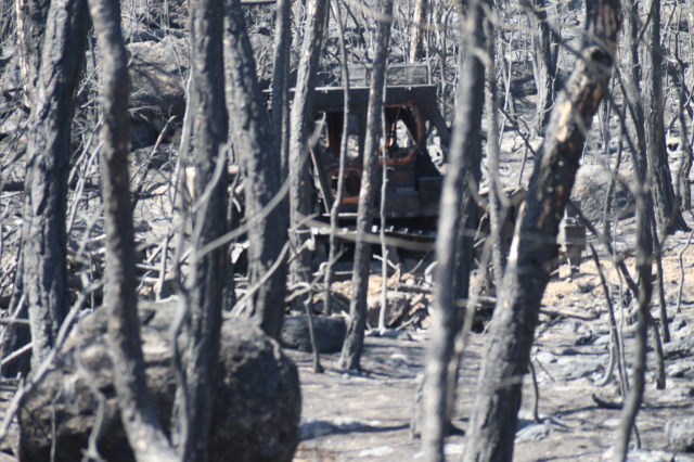 10 orman işçisinin şehit olduğu alan! Araçlar küle dönmüş, yerde sürükleme izleri