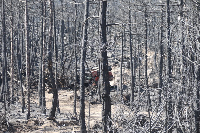 10 orman işçisinin şehit olduğu alan! Araçlar küle dönmüş, yerde sürükleme izleri