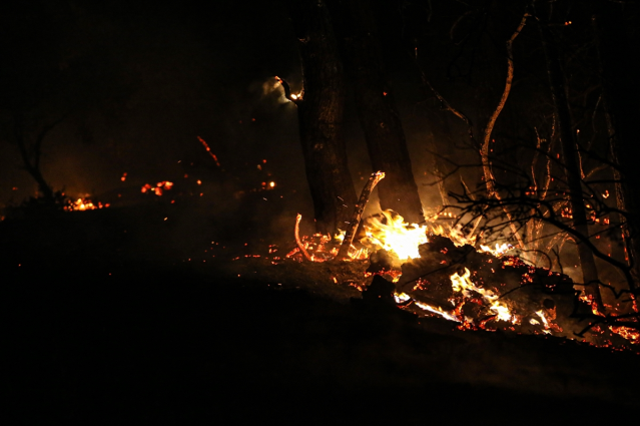 Çanakkale'de orman yangını sürüyor! 5 köy boşaltıldı, çok sayıda ev alevlere teslim oldu