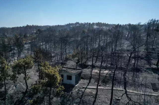 Çanakkale Merkez'de yangın kontrollü