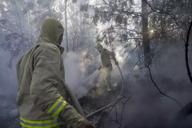 Dört bölgede orman yangınları kontrol altında! Çanakkale'de alevlerle mücadele sürüyor
