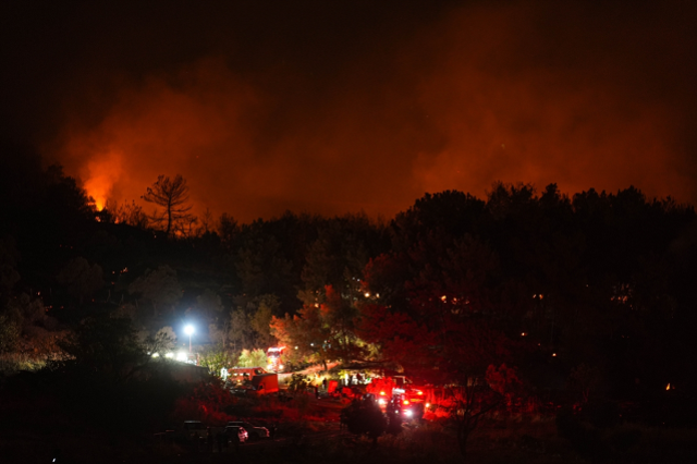 İzmir'in Buca ilçesinde orman yangını! Alevler hızla ilerliyor
