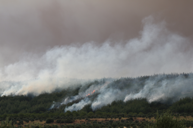 Çanakkale'de alev savaşçılarının zorlu mücadelesi kamerada