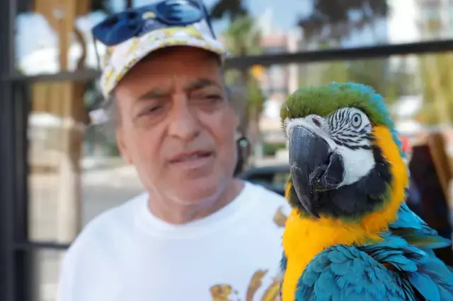 Kaybolan Turgut Özal'ın papağanından haber var