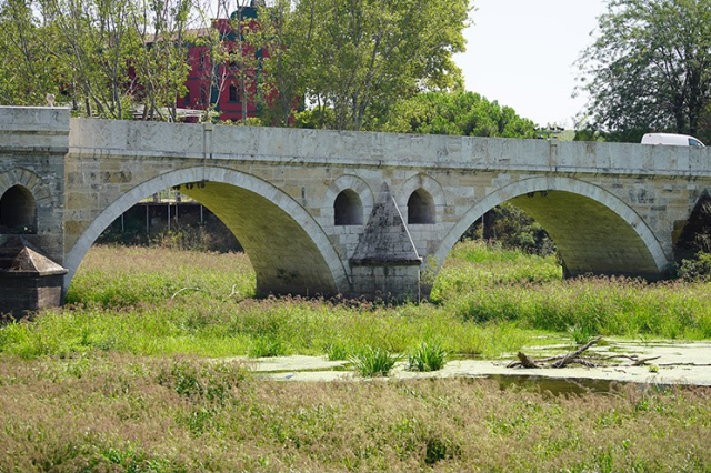Edirne'de kuraklık alarmı! Tunca Nehri'ni otlar kapladı