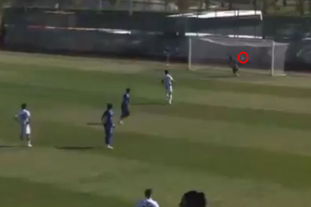 Muğlasporlu futbolcunun kendi kalesine attığı golü görmeniz lazım