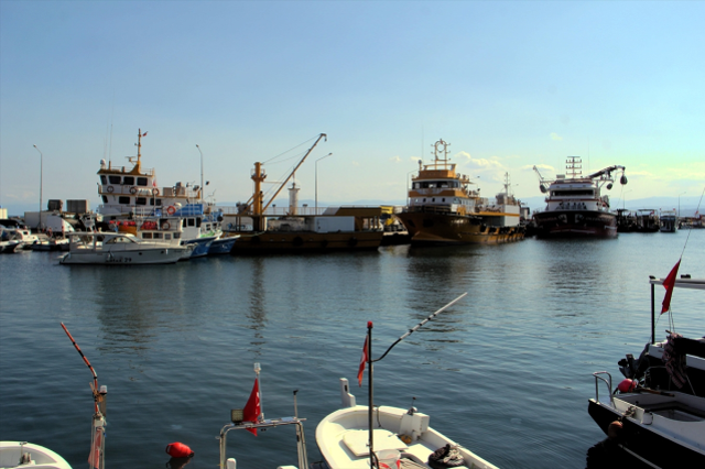 Sinop'ta balıkçılar denizden umduğunu bulamadı