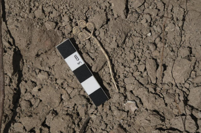 Eşsiz hazine ortaya çıktı! Son 100 yılın ön önemli keşfi