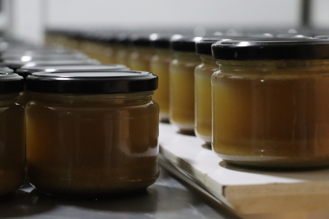 Hastalığına şifa ararken hayatının işini buldu! Türkiye'nin dört bir yanına sipariş gönderiyor