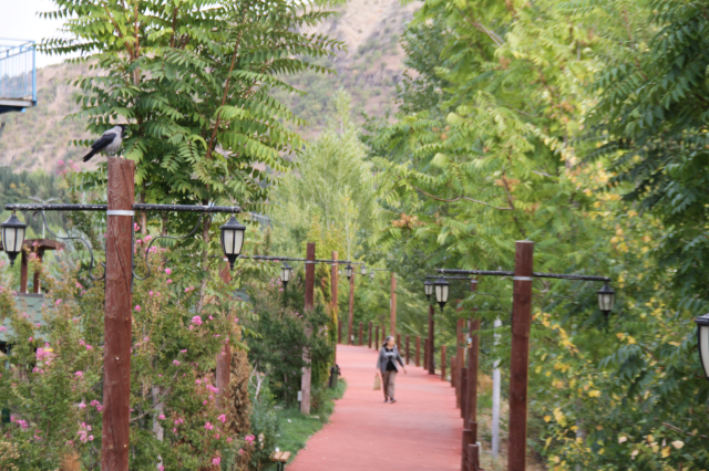 Tunceli'de Sonbahar Huzuru: Doğa ve Sessizlik İç İçe