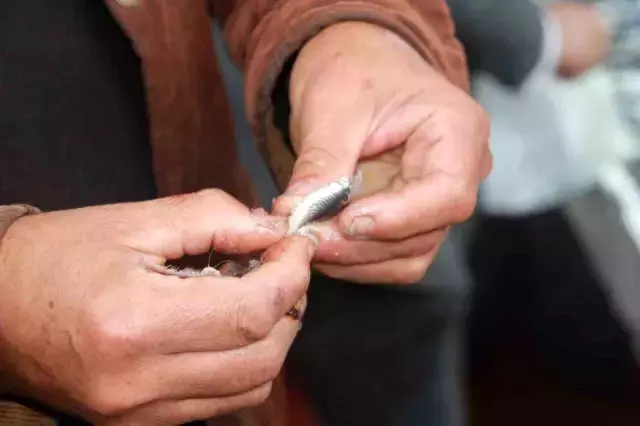 Hamsi fiyatları düştü
