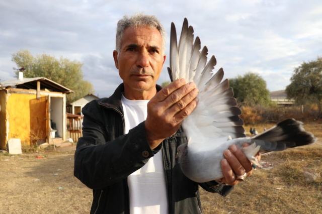 Değeri yarım milyondan fazla, yurt dışından bile talep görüyor