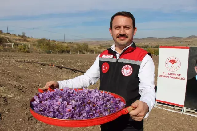 Dünyanın en pahalısı! 1 gramı 500 TL'ye satılıyor