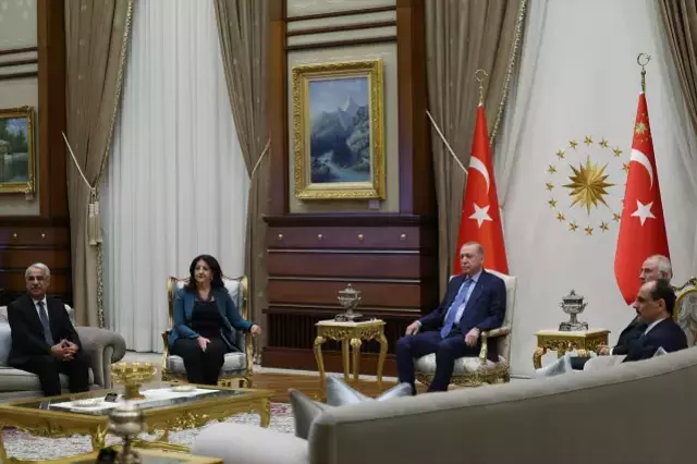 Erdoğan'la görüşen DEM Parti İmralı heyetinden ilk açıklama